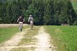 Waldkirchen-Bike-Marathon 2014