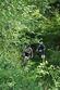 Waldkirchen-Bike-Marathon 2014