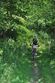 Waldkirchen-Bike-Marathon 2014