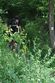 Waldkirchen-Bike-Marathon 2014
