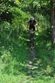 Waldkirchen-Bike-Marathon 2014
