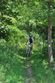 Waldkirchen-Bike-Marathon 2014