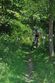 Waldkirchen-Bike-Marathon 2014